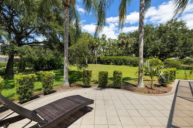 3922 Cedar Cay Cir, Valrico, FL 33596 - view of patio with view of scattered trees