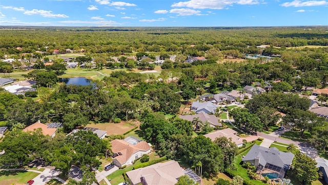 3922 Cedar Cay Cir, Valrico, FL 33596 - aerial view of residential area with a heavily wooded area and a large body of water