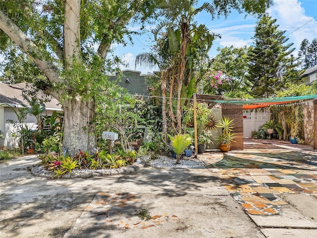 536 Ave G SE, Winter Haven, FL 33880 - view of yard with fence, a patio, and an attached carport