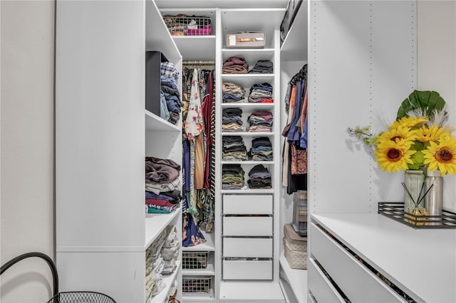 332 Wood Dove Ave, Tarpon Springs, FL 34689 - view of spacious closet