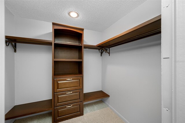 10216 Regal Dr Unit 208, Largo, FL 33774 - spacious closet with carpet floors