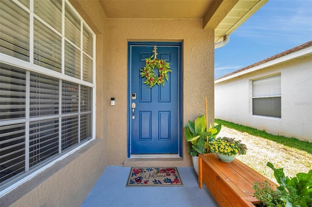 8504 Tidal Bay Ln, Tampa, FL 33635 - entrance to property with stucco siding