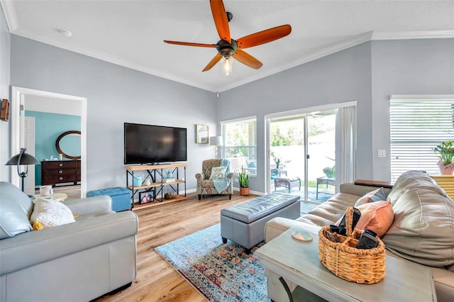 8504 Tidal Bay Ln, Tampa, FL 33635 - living area featuring a ceiling fan, light wood-style floors, ornamental molding, and baseboards