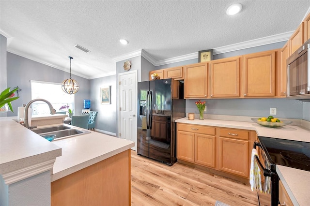 8504 Tidal Bay Ln, Tampa, FL 33635 - kitchen featuring black appliances, a sink, crown molding, light wood finished floors, and light countertops