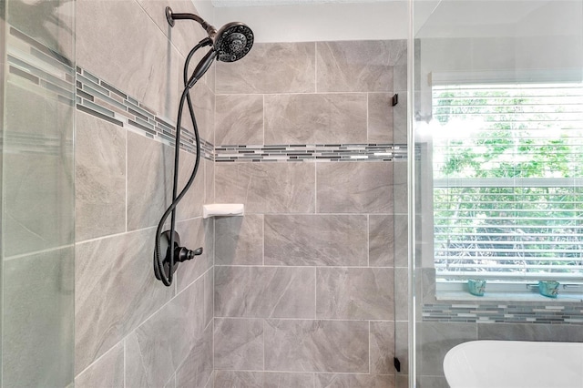 8504 Tidal Bay Ln, Tampa, FL 33635 - full bathroom featuring a shower stall and a soaking tub