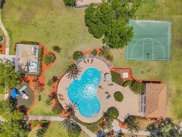 8504 Tidal Bay Ln, Tampa, FL 33635 - bird's eye view of a pool area