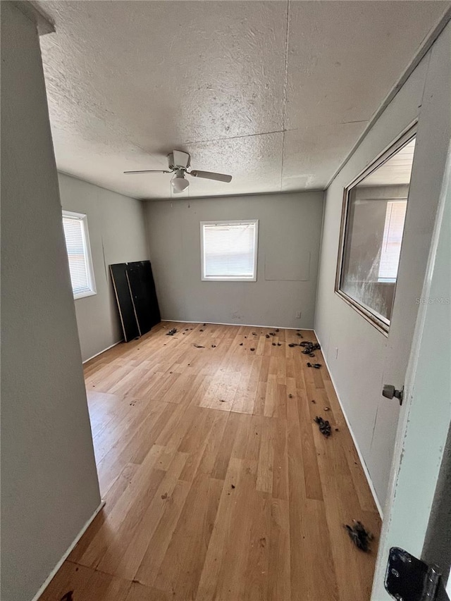 3950 45th Ave N, Saint Petersburg, FL 33714 - photo 16