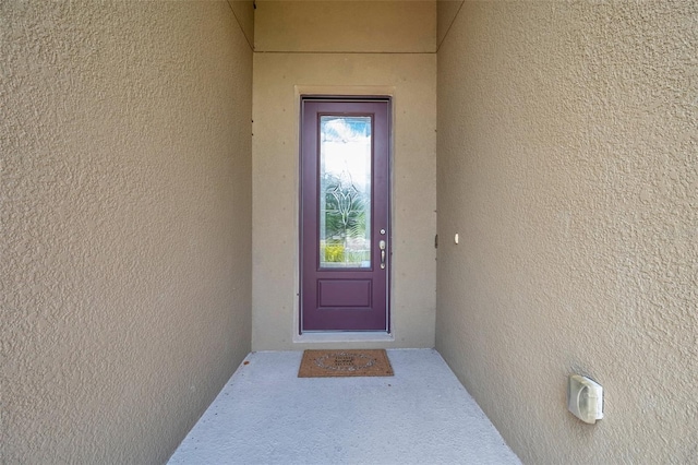 11878 Thicket Wood Dr, Riverview, FL 33579 - view of exterior entry featuring stucco siding