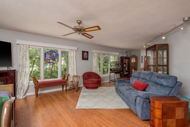 2279 Ranchette Ln, Dunedin, FL 34698 - photo 13