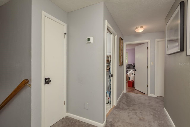 2279 Ranchette Ln, Dunedin, FL 34698 - photo 27