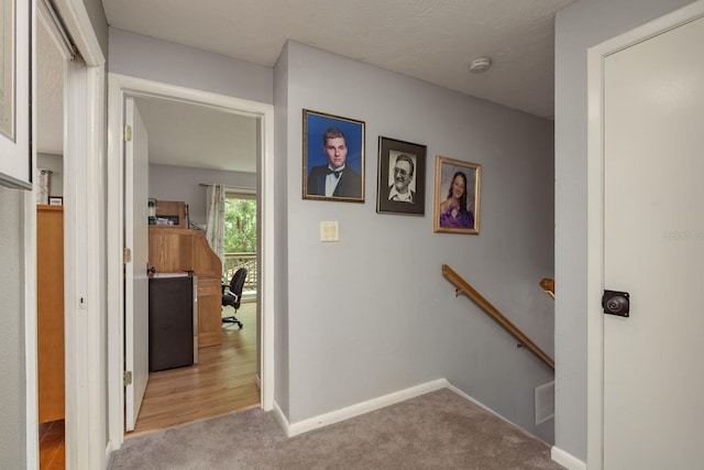 2279 Ranchette Ln, Dunedin, FL 34698 - photo 28