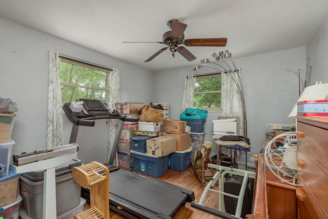 2279 Ranchette Ln, Dunedin, FL 34698 - photo 37