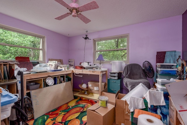 2279 Ranchette Ln, Dunedin, FL 34698 - photo 36