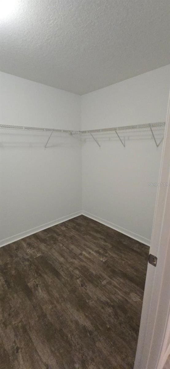 walk in closet featuring dark wood-type flooring