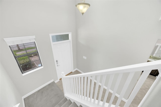 1028 Oliveto Verdi Ct, Brandon, FL 33511 - staircase featuring baseboards and carpet