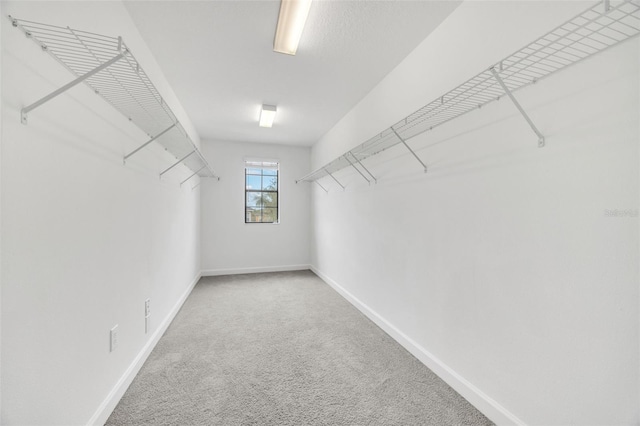 1028 Oliveto Verdi Ct, Brandon, FL 33511 - spacious closet featuring carpet flooring