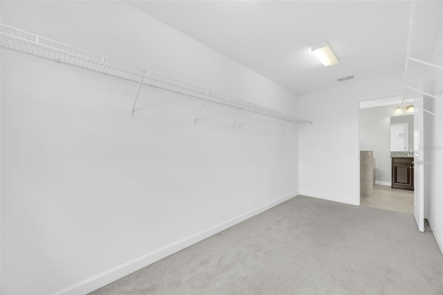 1028 Oliveto Verdi Ct, Brandon, FL 33511 - walk in closet with carpet flooring