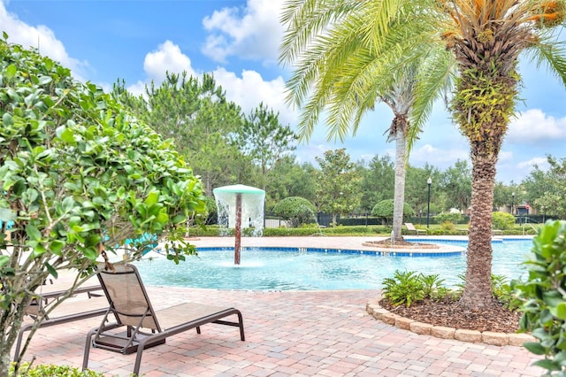 1028 Oliveto Verdi Ct, Brandon, FL 33511 - community pool with fence