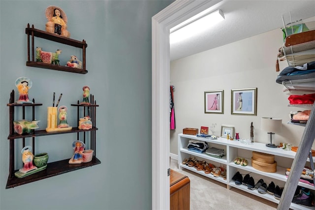 4717 Osprey Ridge Cir, Palm Harbor, FL 34684 - hall with carpet floors