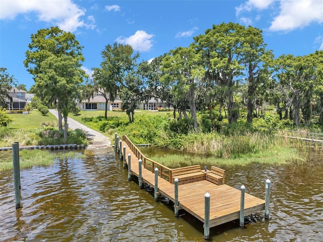 4717 Osprey Ridge Cir, Palm Harbor, FL 34684 - dock area featuring a water view