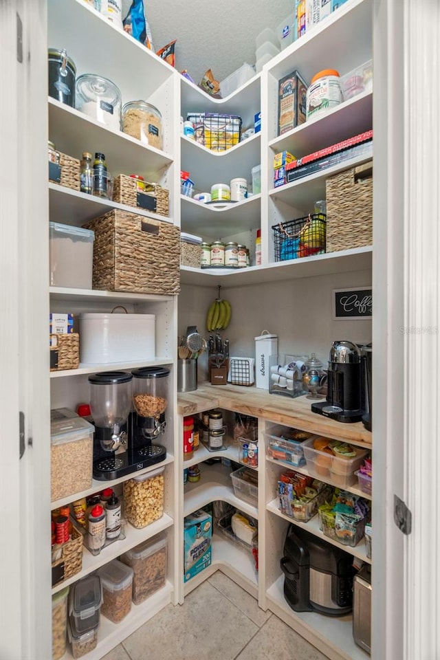 1844 Odiorne Point Ln, Wesley Chapel, FL 33543 - view of pantry
