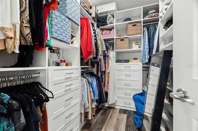 1844 Odiorne Point Ln, Wesley Chapel, FL 33543 - walk in closet with dark wood finished floors