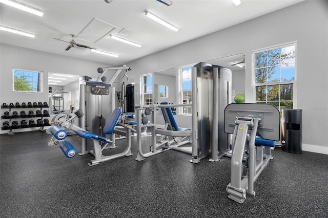 1844 Odiorne Point Ln, Wesley Chapel, FL 33543 - exercise room with ceiling fan and baseboards