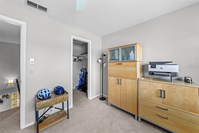 9209 Seminole Blvd Unit 156, Seminole, FL 33772 - bedroom with light colored carpet, a closet, a spacious closet, baseboards, and a textured ceiling