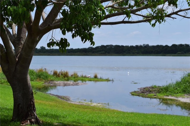 9209 Seminole Blvd Unit 156, Seminole, FL 33772 - water view