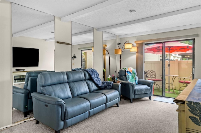 9209 Seminole Blvd Unit 156, Seminole, FL 33772 - living area featuring carpet, beam ceiling, and a textured ceiling