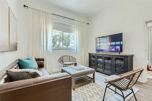 1145 53rd Ave N Unit 1, Saint Petersburg, FL 33703 - living area featuring light wood finished floors and baseboards