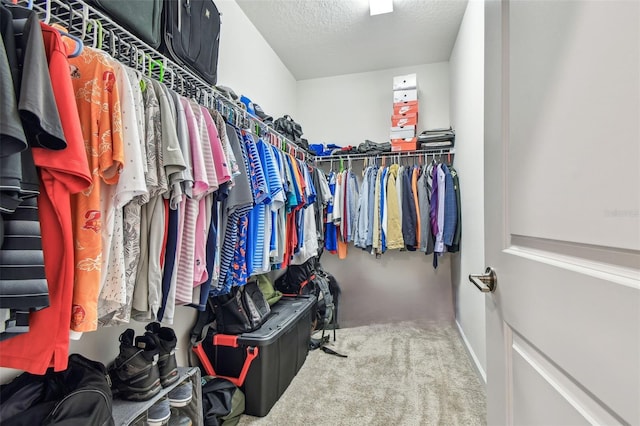 6745 Citrus Creek Ln, Tampa, FL 33625 - walk in closet featuring carpet floors