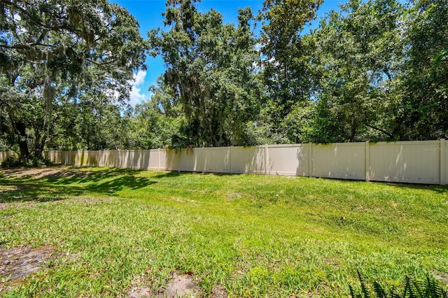 6745 Citrus Creek Ln, Tampa, FL 33625 - view of yard
