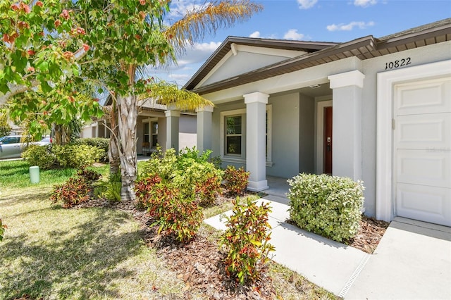 10822 Crushed Grape Dr, Riverview, FL 33578 - view of exterior entry featuring stucco siding and covered porch