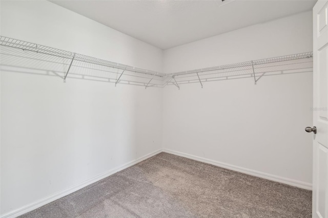 10822 Crushed Grape Dr, Riverview, FL 33578 - spacious closet featuring carpet