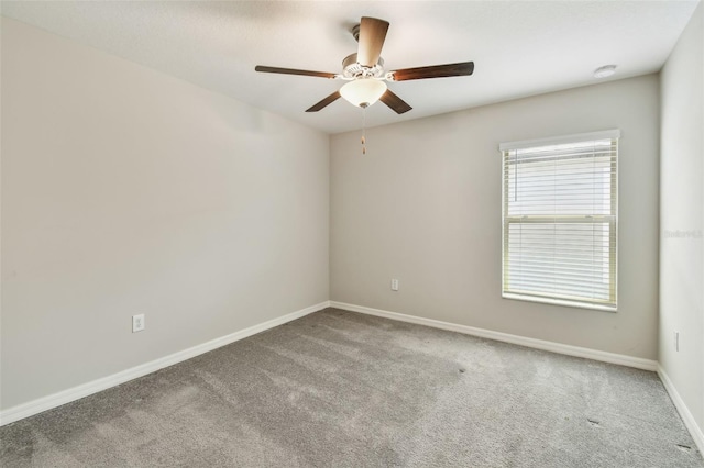 10822 Crushed Grape Dr, Riverview, FL 33578 - carpeted spare room with a ceiling fan and baseboards