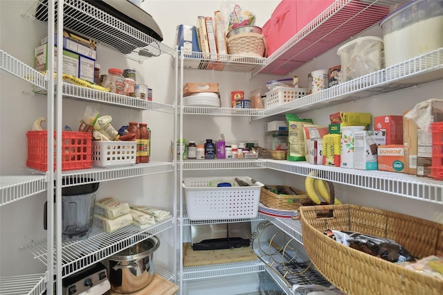 1116 Hillandale Reserve Dr, Tampa, FL 33613 - view of pantry