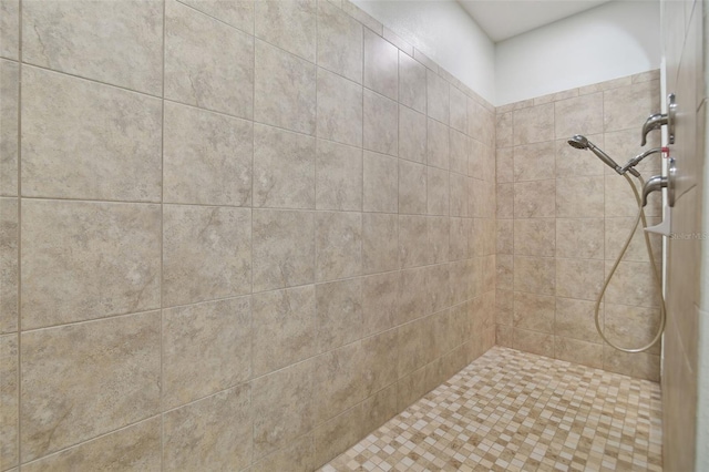 1116 Hillandale Reserve Dr, Tampa, FL 33613 - bathroom with a tile shower