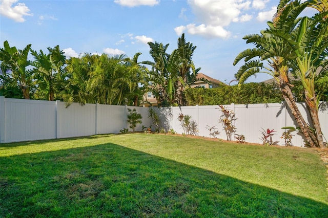 1116 Hillandale Reserve Dr, Tampa, FL 33613 - view of yard