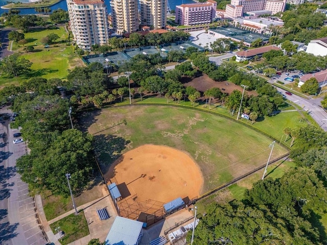 drone / aerial view