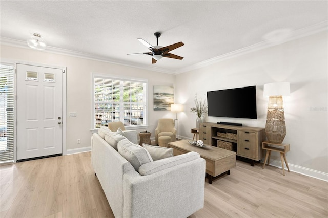 living room featuring a ceiling fan, light wood-type flooring, crown molding, baseboards, and a textured ceiling