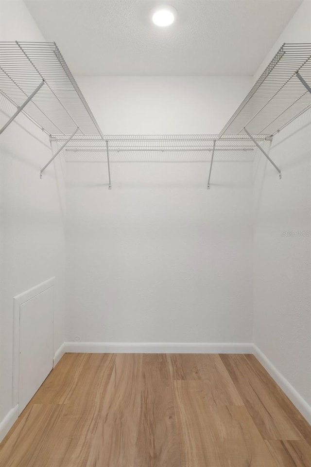 3923 Shoreside Cir, Tampa, FL 33624 - walk in closet with light wood-type flooring