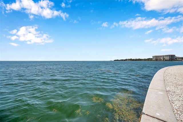 5260 Coquina Key Dr SE Unit C, Saint Petersburg, FL 33705 - photo 50