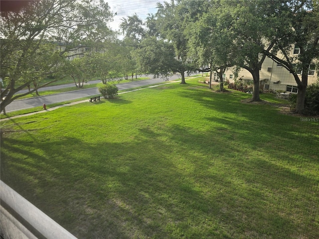 5705 80th St N Unit 303, Saint Petersburg, FL 33709 - view of grassy yard