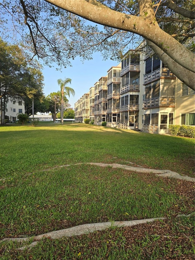 5705 80th St N Unit 303, Saint Petersburg, FL 33709 - view of home's community featuring a lawn