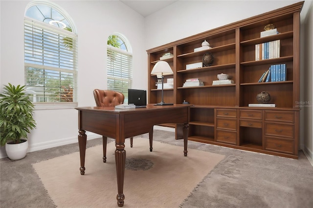 12420 Brick Cobblestone Dr, Riverview, FL 33579 - carpeted office space with baseboards