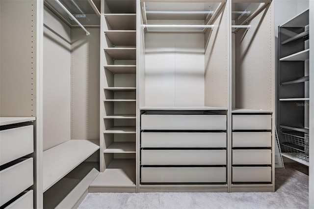 12420 Brick Cobblestone Dr, Riverview, FL 33579 - view of spacious closet