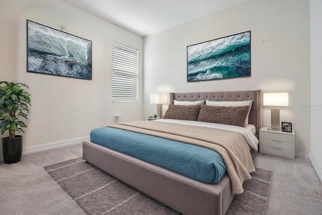 12420 Brick Cobblestone Dr, Riverview, FL 33579 - carpeted bedroom with baseboards