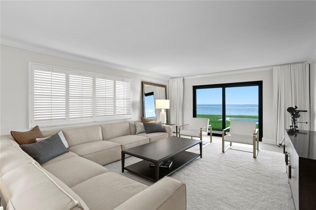 218 Colony Point Rd S, Saint Petersburg, FL 33705 - living room with a water view, ornamental molding, and carpet
