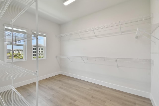 7240 Sutton Ln, Sarasota, FL 34240 - walk in closet with light wood finished floors